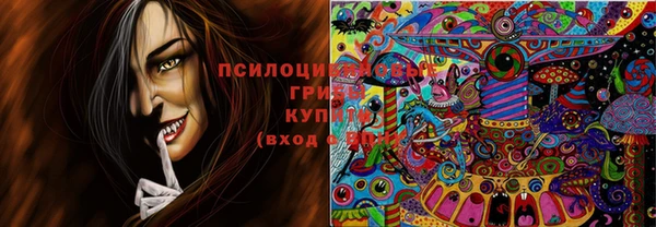 прущая мука Беломорск